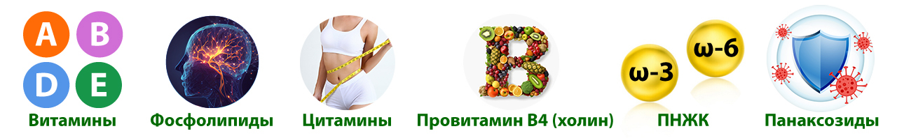 Состав медвежьего жира