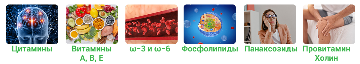 Медвежий жир