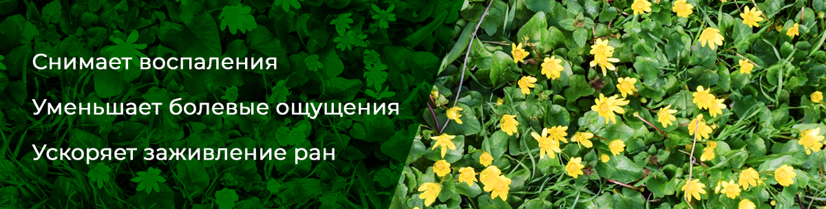 Свойства жабника