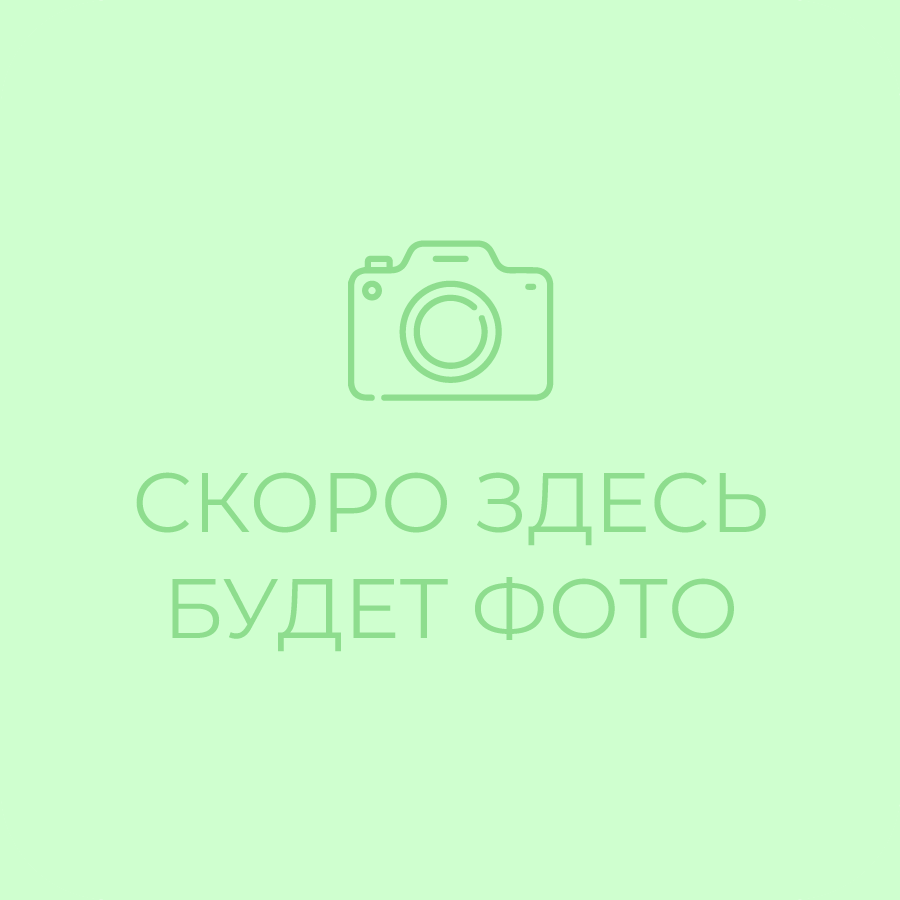 Клетчатка Пребиотик 200 гр / дойпак Фитосбор № 40
