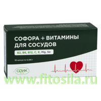 Витамины для сосудов + Софора  БАД, "СОИК", № 30 капс. х 0,395 г.