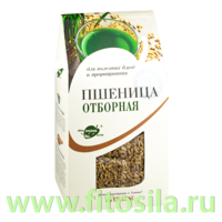 Пшеница отборная, зерно для проращивания 500гр пачка Образ Жизни **