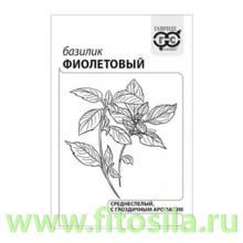 Базилик Фиолетовый 0,3 г б/п с евроотв. (семена для проращивания)