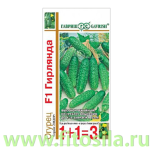 Огурец Гирлянда F1 серия 1+1/20 шт. автор. (семена для проращивания)