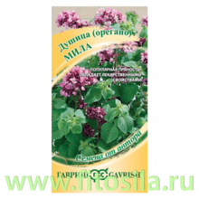 Душица Мила (орегано)* 0,1 г автор. (семена для проращивания)