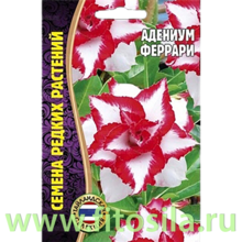 Адениум Феррари 3 шт. (семена для проращивания)