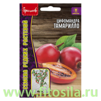 Цифомандра Тамарилло (Томатное дерево) 5шт. (семена для проращивания)